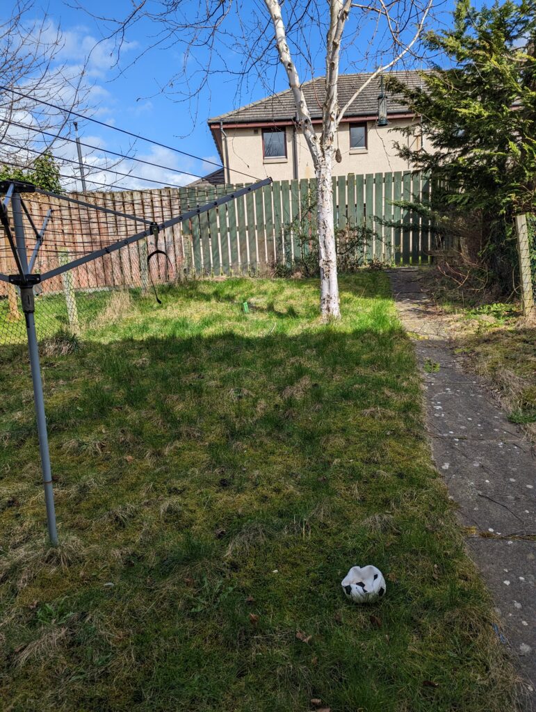 A boring garden with grass in an unhealthy and poorly maintained state.