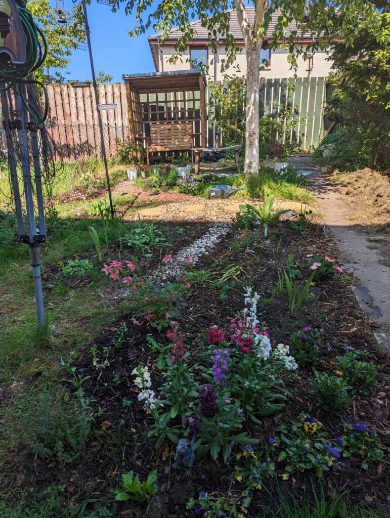 Garden with a mix of plants scattered throughout it