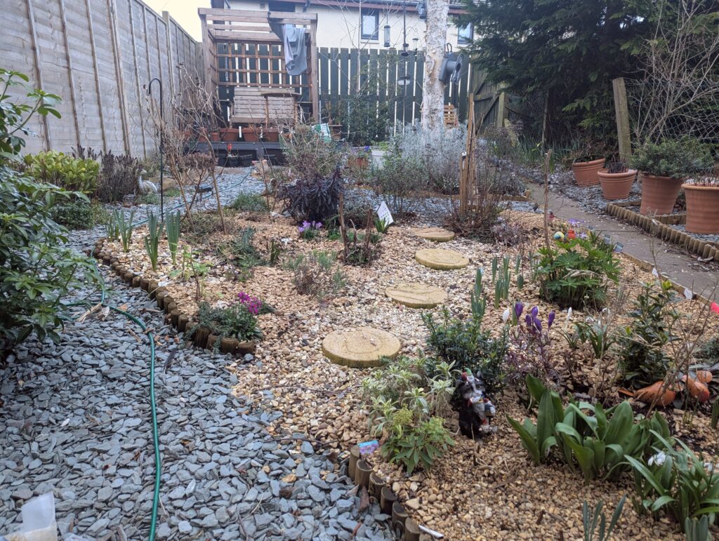 A garden in spring with some plants emerging.